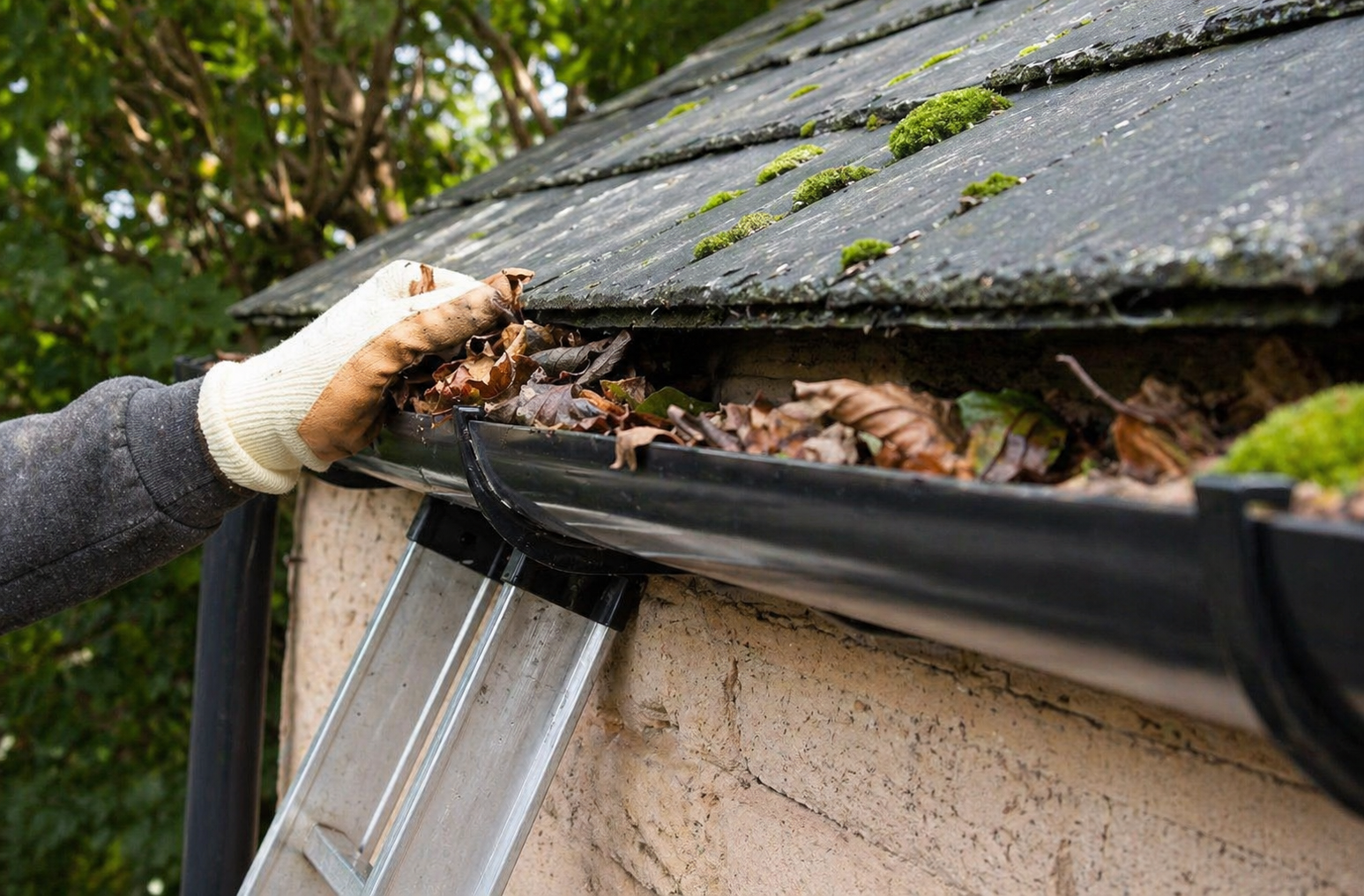 gutter cleaning img1